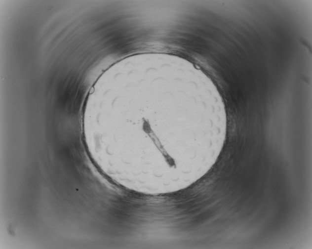 X0000099441479200806061032