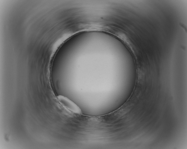 X0000099441480200806061032