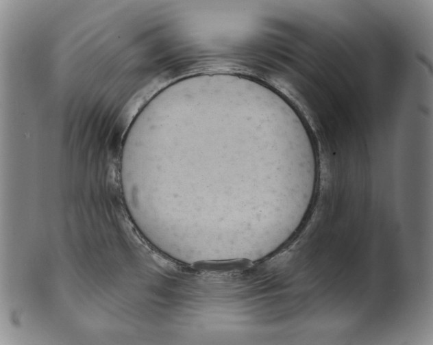 X0000099441481200806061032