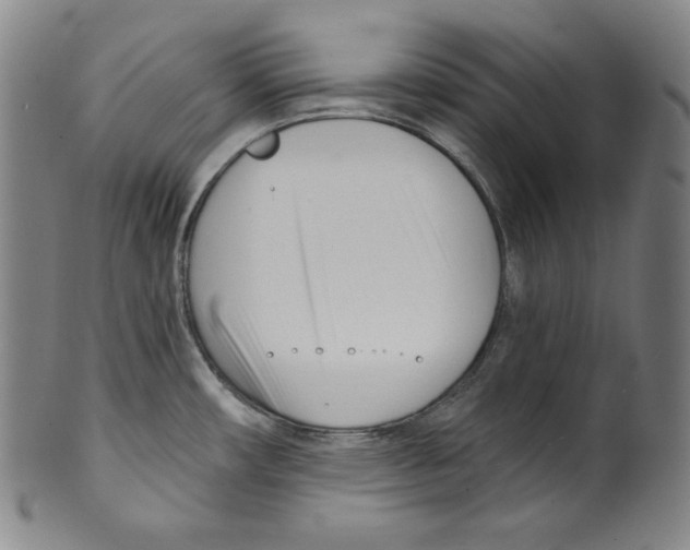 X0000099441482200806061032