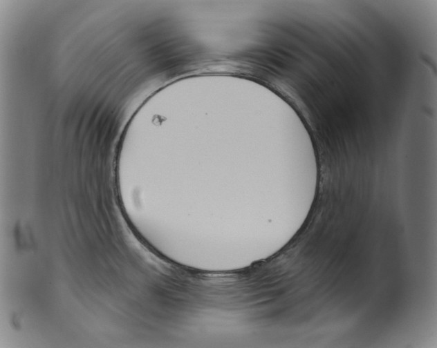 X0000099441483200806061032