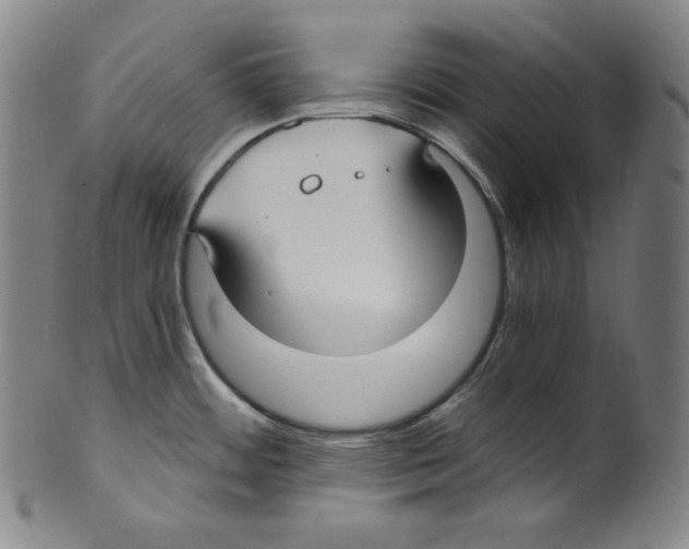 X0000099441484200806061032