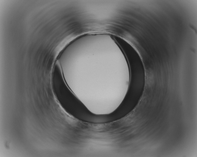 X0000099441485200806061032