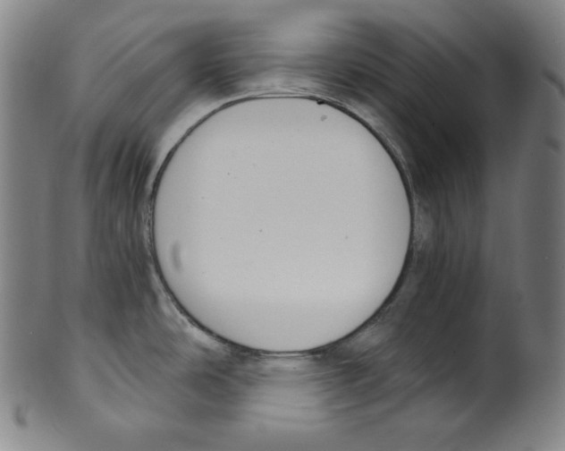 X0000099441486200806061032