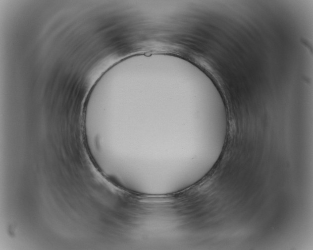 X0000099441487200806061032