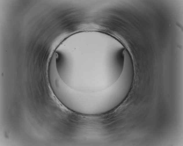 X0000099441488200806061032