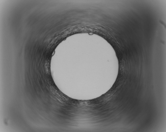 X0000099441490200806061031