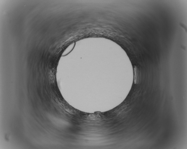 X0000099441491200806061031