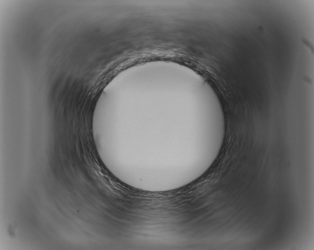 X0000099441492200806061031