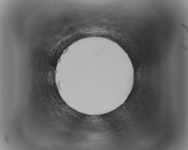 X0000099441493200806061031