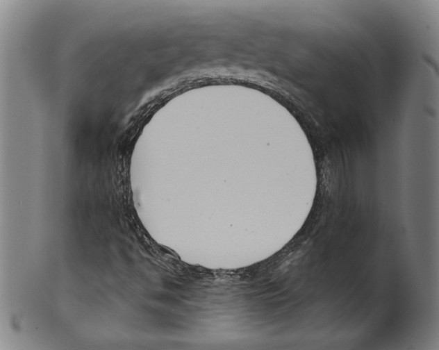 X0000099441494200806061031