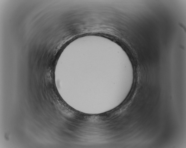 X0000099441497200806061031