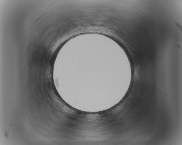 X0000099441498200806061031