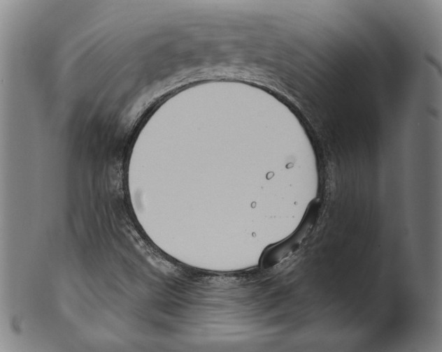 X0000099441499200806061031