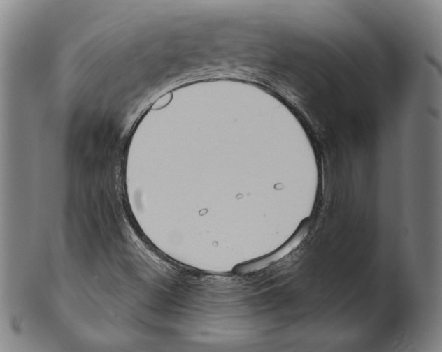 X0000099441500200806061031