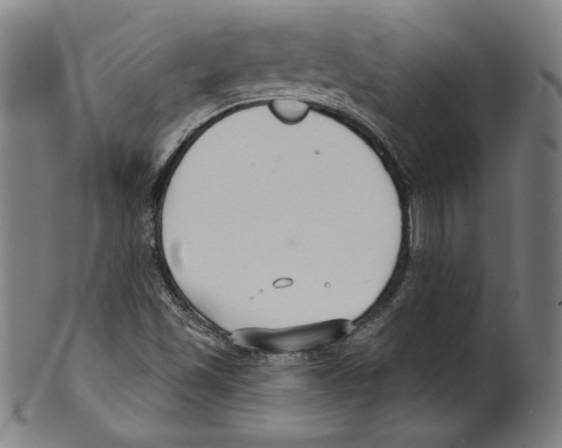 X0000099441501200806061031