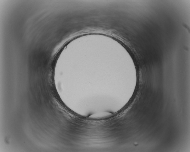 X0000099441502200806061031