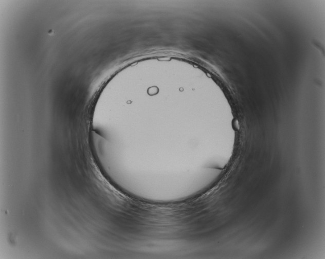 X0000099441504200806061031