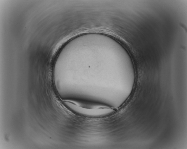 X0000099441506200806061031