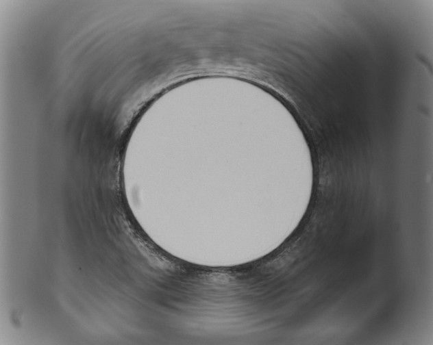 X0000099441507200806061031