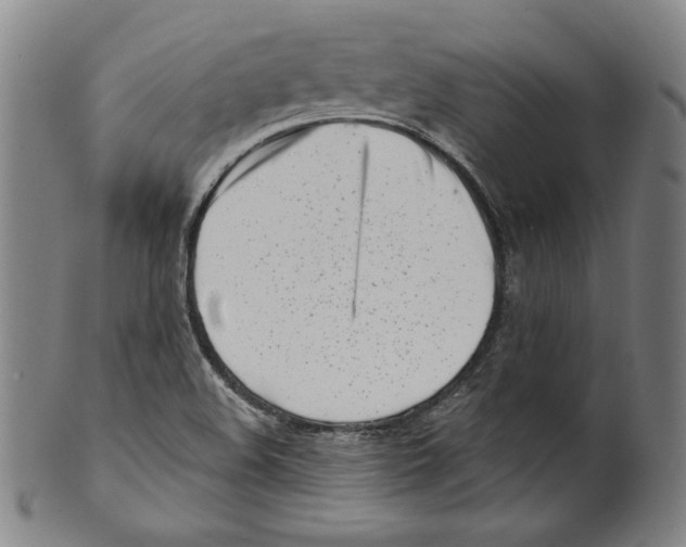 X0000099441508200806061031