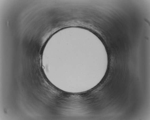 X0000099441509200806061031