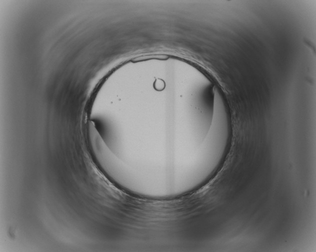 X0000099441510200806061031