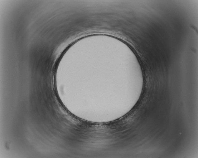 X0000099441511200806061031