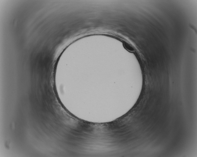 X0000099441512200806061031