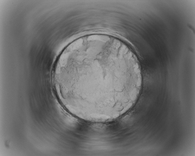 X0000099441514200806061031