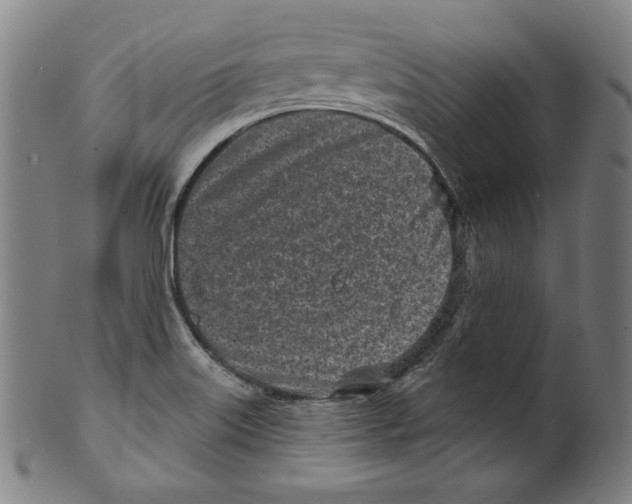 X0000099441515200806061031