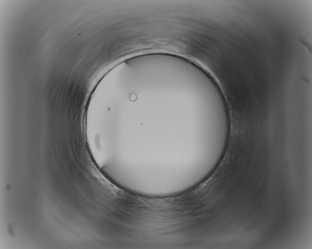 X0000099441516200806061031