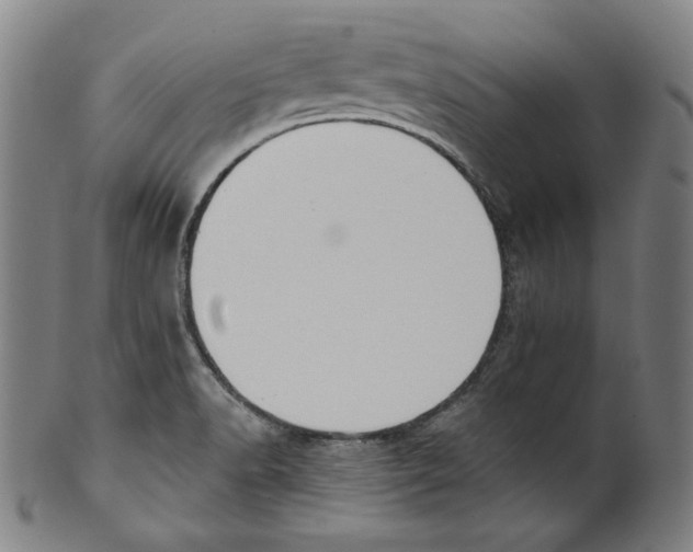 X0000099441518200806061031