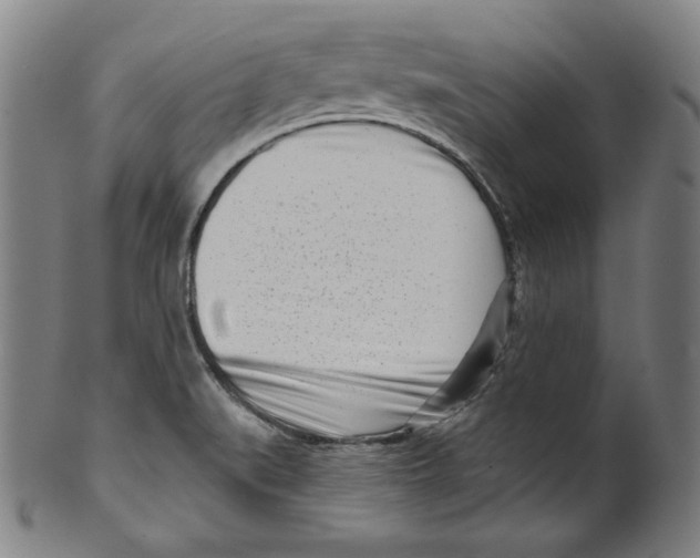 X0000099441519200806061031