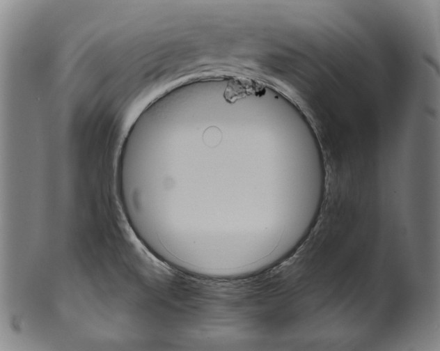 X0000099441520200806061031