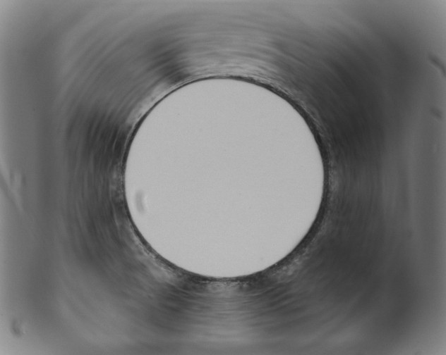 X0000099441521200806061031