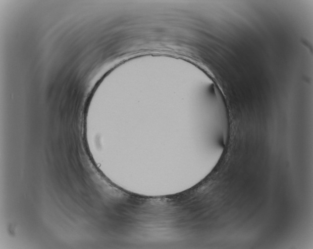 X0000099441523200806061031