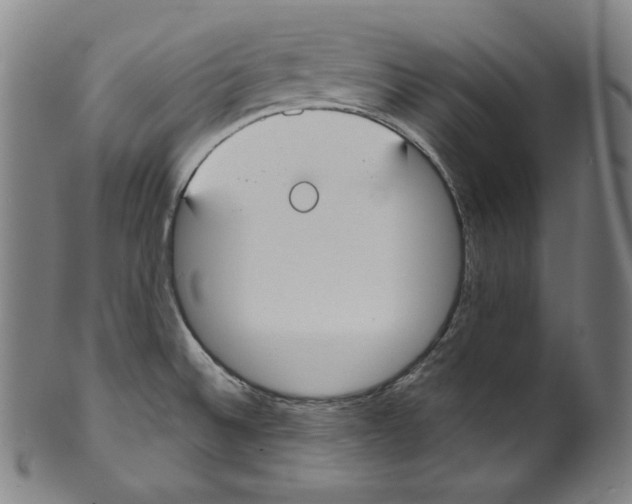 X0000099441524200806061031