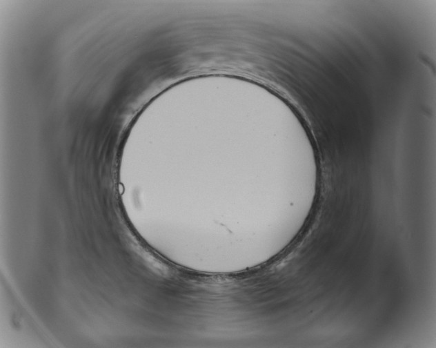 X0000099441525200806061031