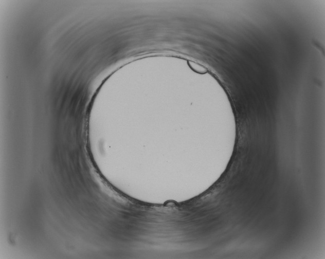 X0000099441526200806061031