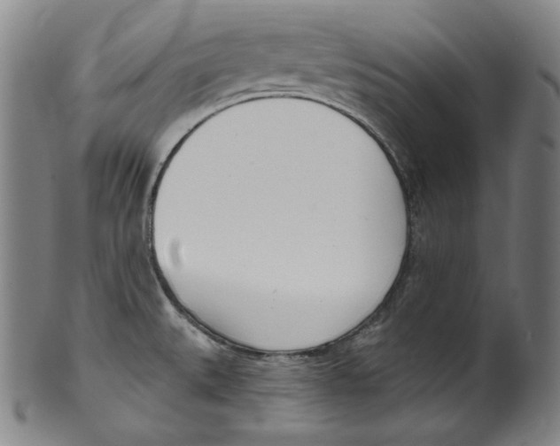 X0000099441527200806061031