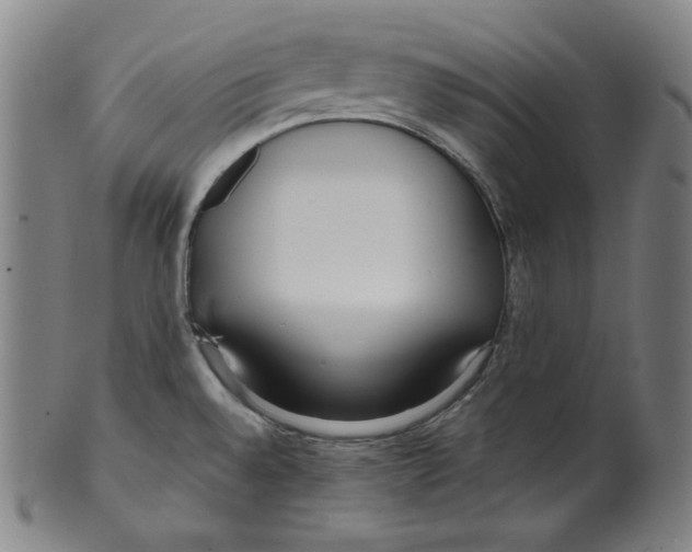 X0000099441528200806061032