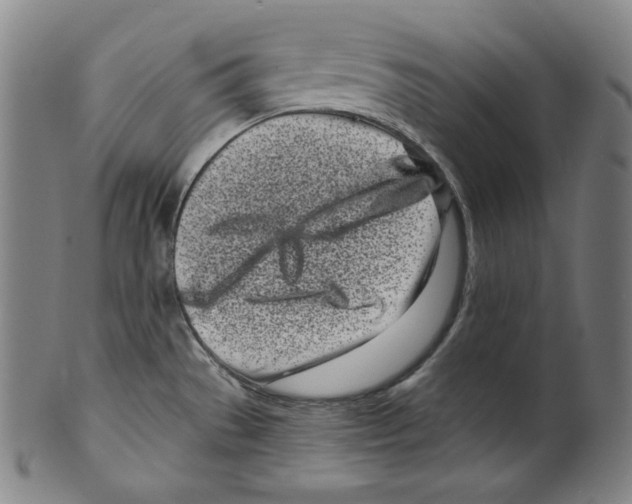 X0000099441529200806061032