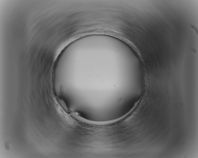 X0000099441530200806061032