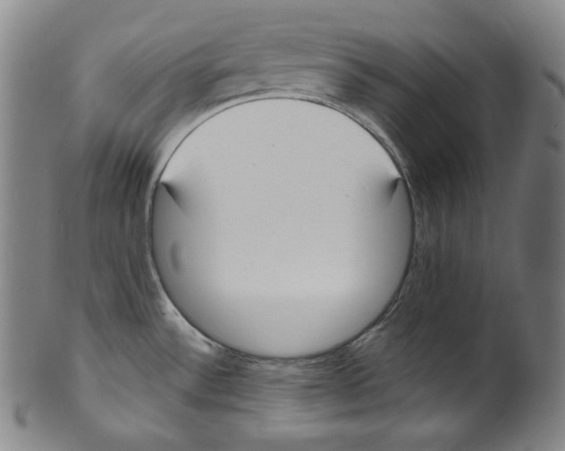 X0000099441532200806061032