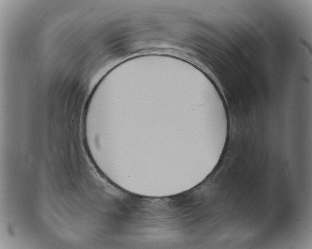 X0000099441533200806061032