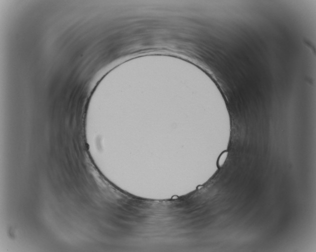 X0000099441534200806061032