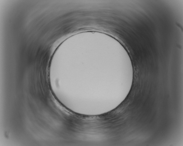 X0000099441535200806061032