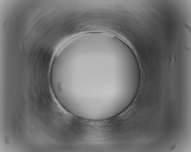 X0000099441536200806061032