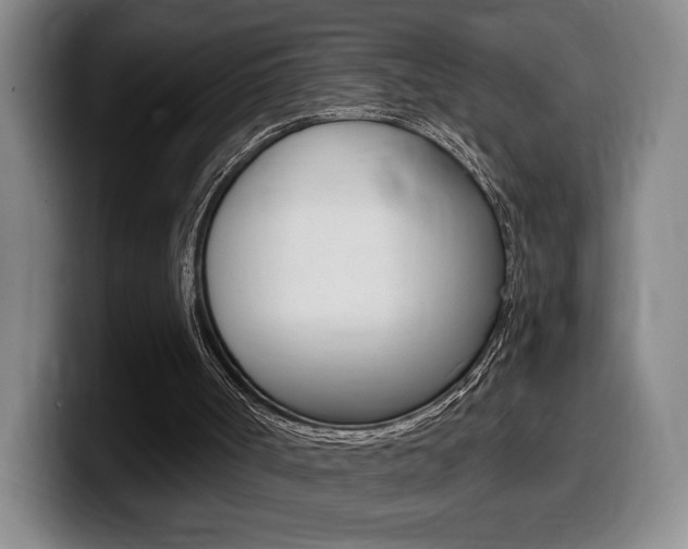 X0000099450002200805090737